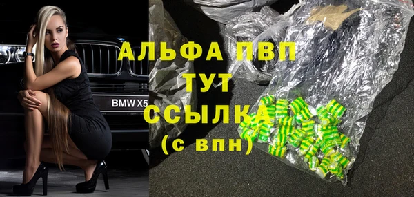 гашик Верея