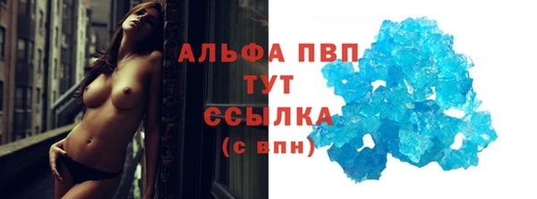 гашик Верея