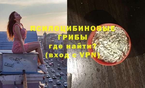 ECSTASY Бородино