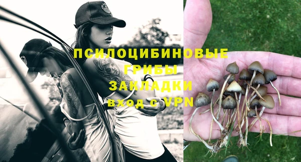 прущие крисы Бронницы