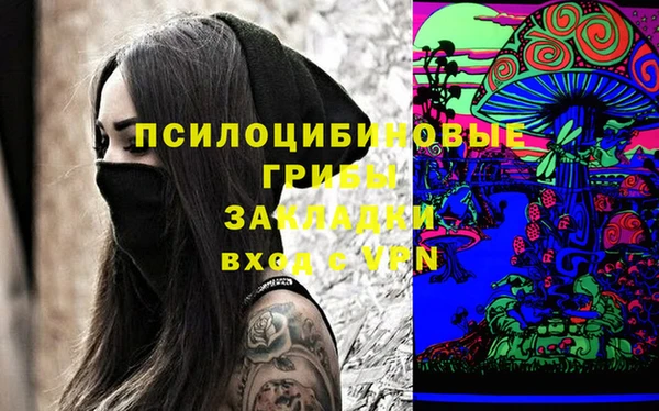 гашик Верея