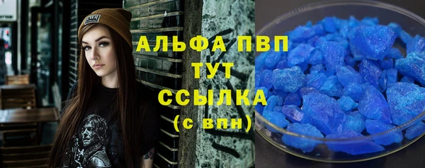 гашик Верея