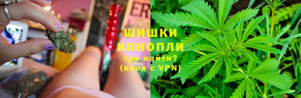 ECSTASY Бородино