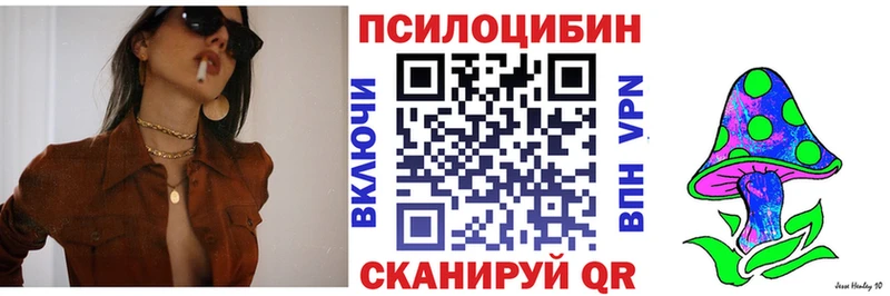 mega ссылки  Демидов  Галлюциногенные грибы Psilocybe 